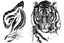 tiger tattoo